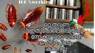 മുഴുവൻ പാറ്റയും വീടുവിട്ടോടാൻ | How To Kill And Get Rid Of Cockroaches easly  Malayalam#vasuj