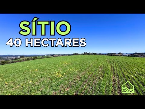 40 HECTARES DE TERRA COM FRENTE PARA BR 282 EM MARAVILHA SC R$8MI