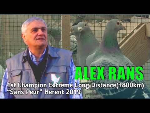 Decades top on the extreme long-distance races - ALEX Rans- 1st ELD Champion 2019