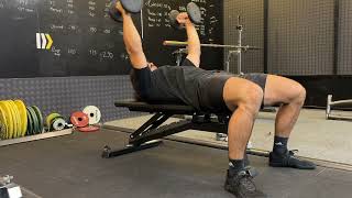 Dumbbell Fly