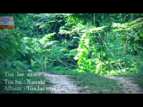 ICU vol 2-tua las ntshev