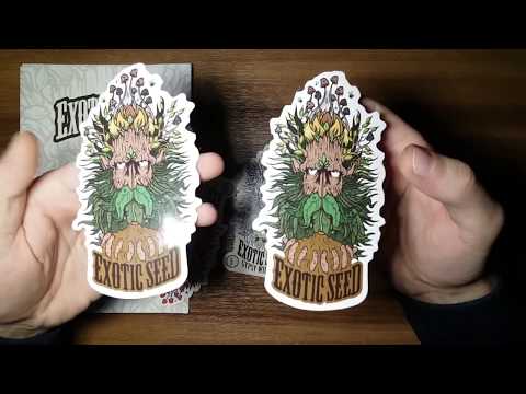 download lagu mp3 mp4 Sensi Seeds Deutschland, download lagu Sensi Seeds Deutschland gratis, unduh video klip Sensi Seeds Deutschland