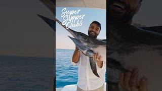 Chef Ali learns the hard way that in fishing, good things don't always come to those who wait.