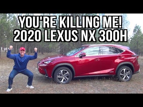 Here's What Bothers Me About the 2020 Lexus NX 300h on Everyman Driver