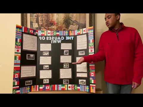 The Causes of World War 1