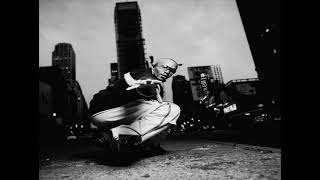 Kool Keith - Haters (2001)