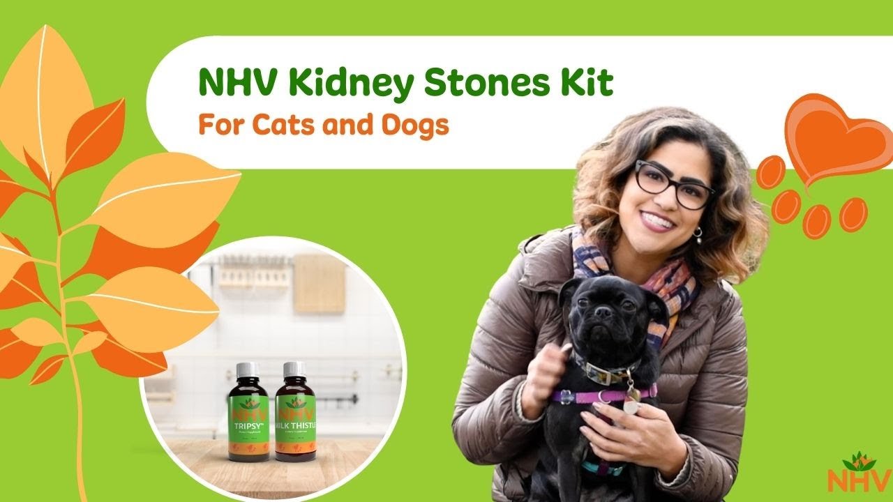 NHV Kidney Stones Kit For Cats and Dogs