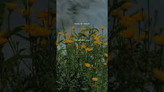 Download lagu ceramah || ceramah story || ceramah story WA || ceramah story WA 30 detik || ustadz Adi hidayat mp3