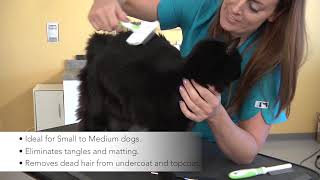 Medium Firm Slicker Brush, Green 65705