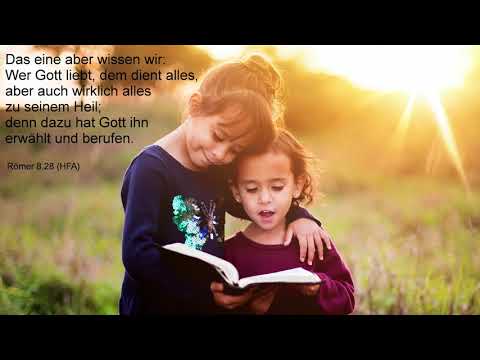 Römer 8,28