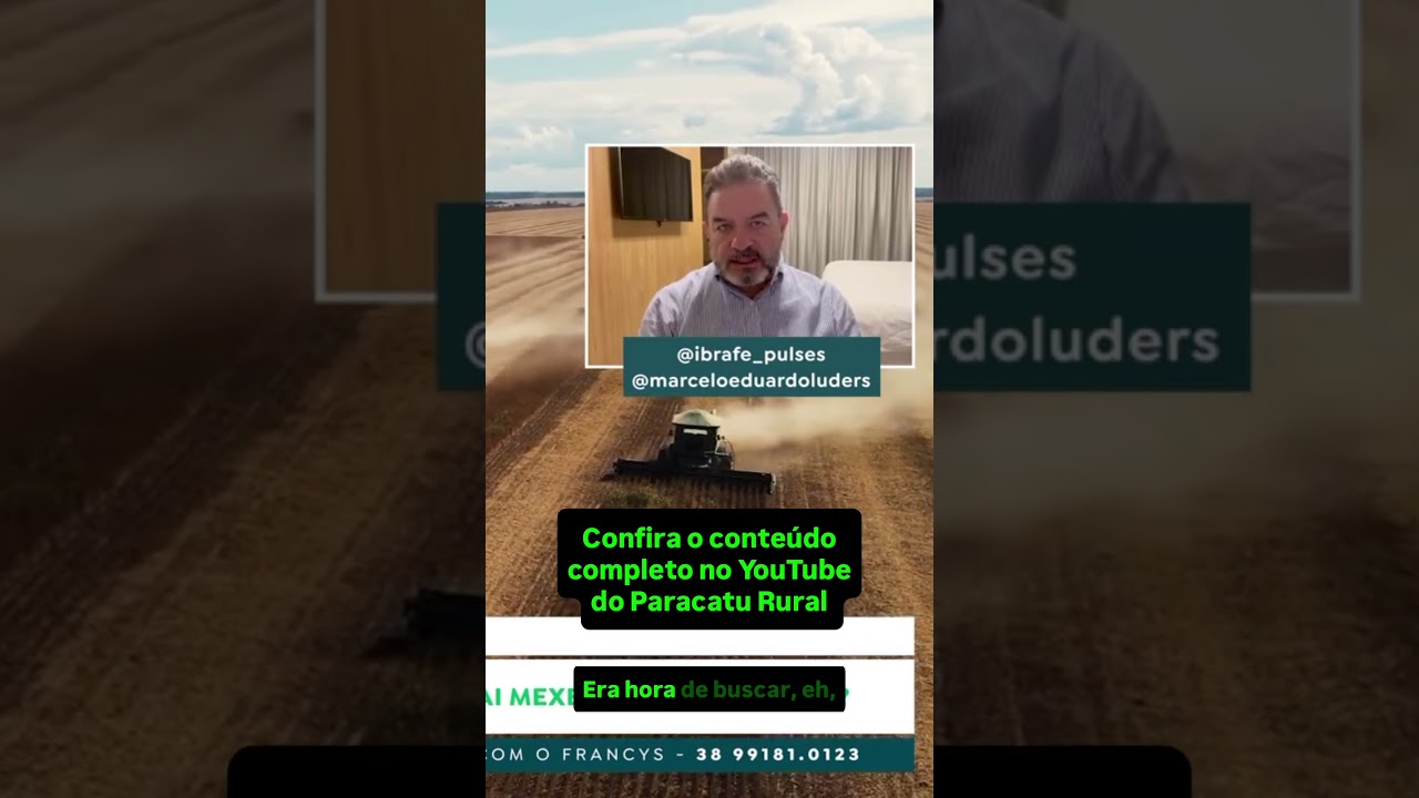 Feijão Carioca até R$330: Como a Virada de Mês Vai Mexer com o Mercado?