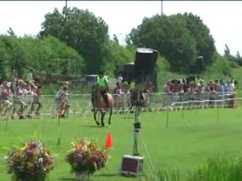 Stompwijk ponyrace groot 2010