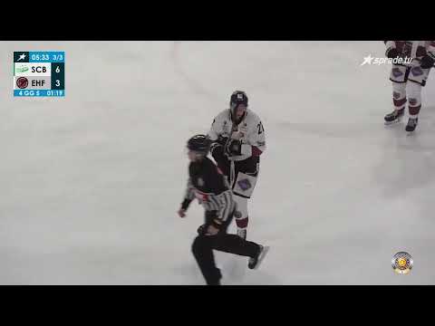 Artūrs Ševčenko Goal vs Bietigheim Steelers 08.12.2024 | Oberliga