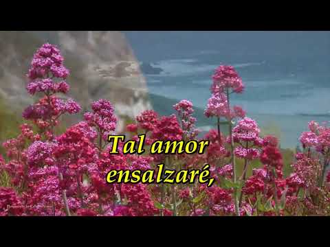 107 Canto el gran amor