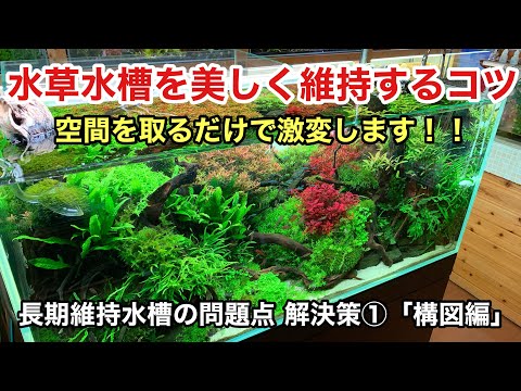 水草の植え方は？正しい選択をするために知っておくべきことすべて!  庭園