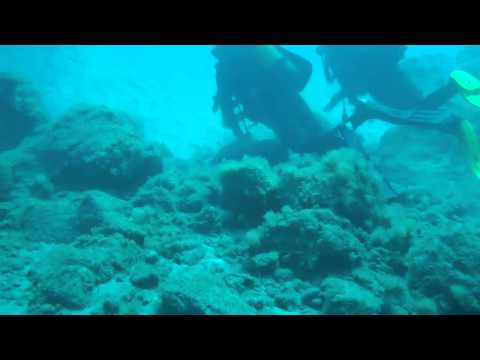 Buceo en Cabrón, Gran Canaria (26-03-11)