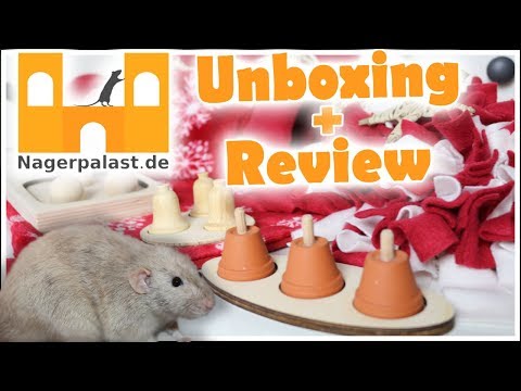 21 Neu Chinchilla Käfig Einrichtung Kaufen Grafiken 21 Neu Chinchilla Käfig Einrichtung Kaufen Grafiken