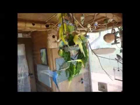 2016 04 22 Möhrengrün am Spiess