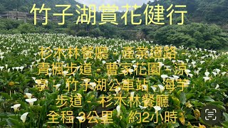 竹子湖賞花健行
