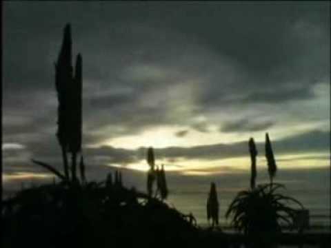 Chicane- Saltwater (Surf's Up 2009)