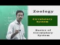 Zoology Human Body Basics Of Circulatory System How It Works Why We Need Blood In Our Body