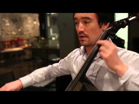 Debussy Clair de Lune for Harp and Cello - Arpège Duo