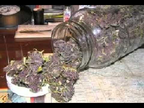 NEW BARAKA FLOCKA FLAME KUSH.MPG