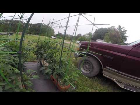 download lagu mp3 mp4 Garden Patch Com, download lagu Garden Patch Com gratis, unduh video klip Garden Patch Com