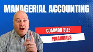 Common Size Balance Sheet & Income Statement - Full Tutorial