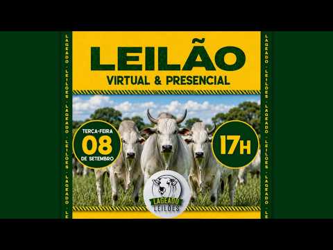 LEILÃO VIRTUAL E PRESENCIAL LAGEADO LEILÕES ITAPAGIPE MG 08/09/2026.
