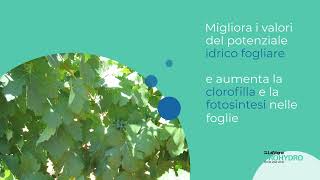 LalVigne PROHYDRO - Riduci i danni da scottature e disidratazione nei vigneti