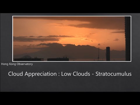 Cloud Appreciation: Low Cloud - Stratocumulus