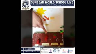 fascinating process of seed