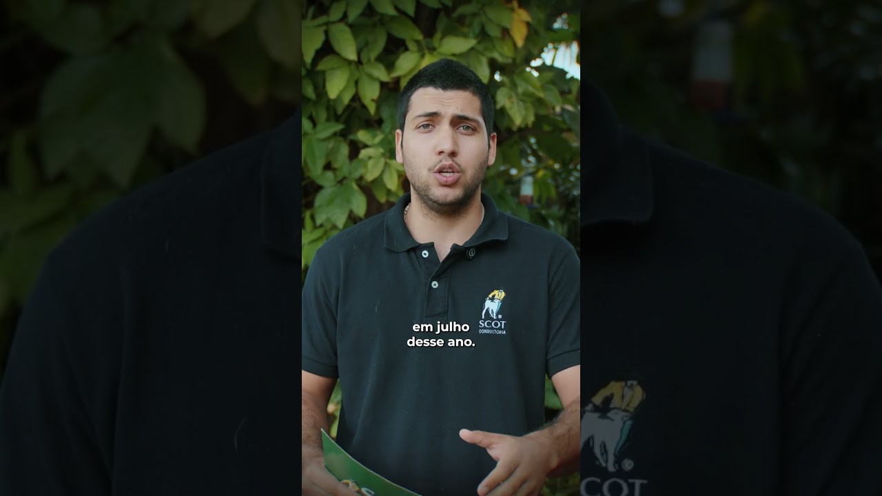 Exportação de carne bovina in natura