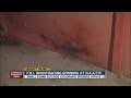 FBI investigating NAACP bombing - YouTube