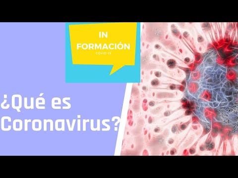 ¿Qué es el Coronavirus?