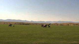 preview picture of video 'DKD-2011 Bronc Riding'