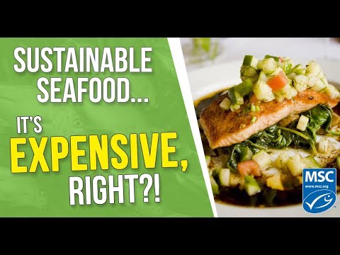 Frutos do mar sustentáveis ​​estão mais perto do que você imagina!