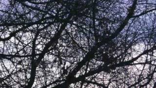 Justin Hayward-Broken Dream