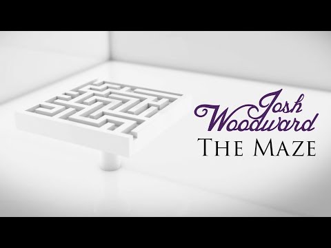 The Maze