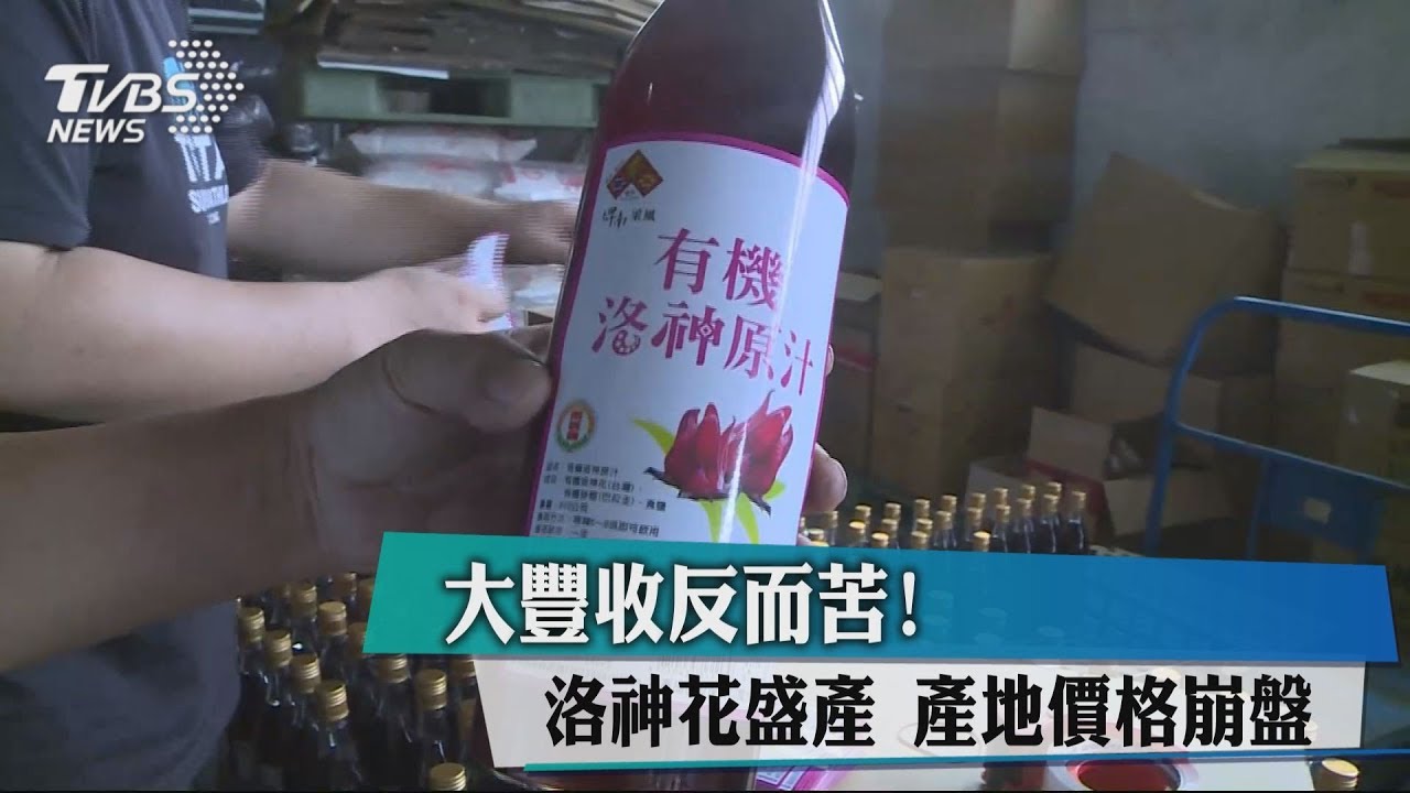 大豐收反而苦!洛神花盛產 產地價格崩盤