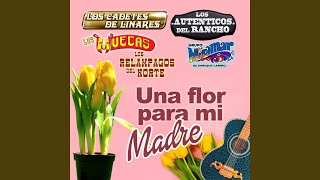 Una Flor Para Mi Madre