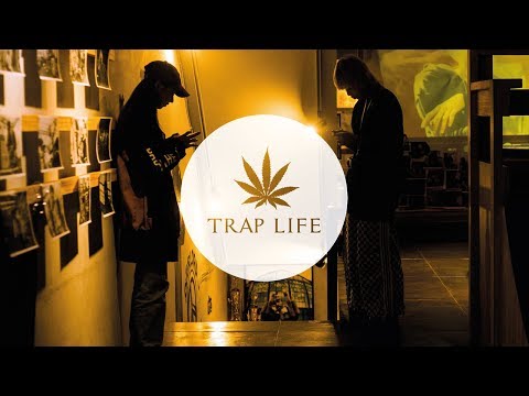 download lagu mp3 mp4 Gucci Tumblr Theme, download lagu Gucci Tumblr Theme gratis, unduh video klip Download Gucci Tumblr Theme Mp3 dan Mp4 Youtube Gratis