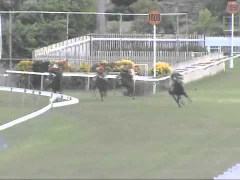 Barrier Trial 10th june 2014 at 6:30am - WesternJet, EkThaTiger, ForestShelter, Domani