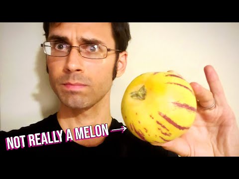 PEPINO MELON - It's Related to Tomatoes, But Tastes Like Melon! (Grown In Algeria!)