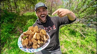 My FIRST TIME Hunting WILD MOREL MUSHROOMS!!! (CATCH CLEAN COOK)