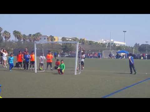 Final gallitos vs Falcons  2016