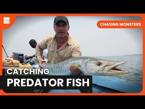 Fishing Adventure in Guinea - Chasing Monsters - S02 EP10 - Nature & Adventure Documentary