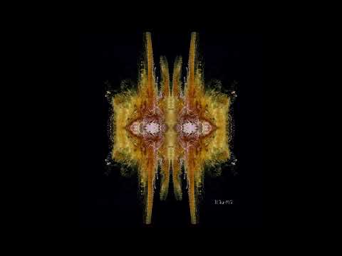 Mayfie - Letting Go [Premiere I TRM324]