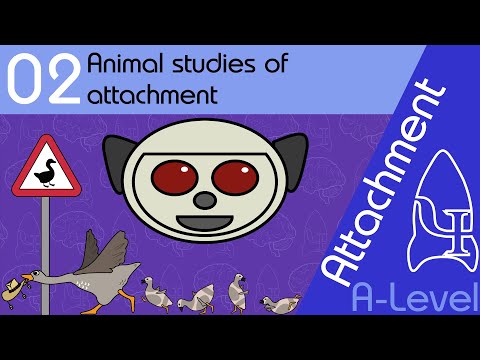 2 Animal studies